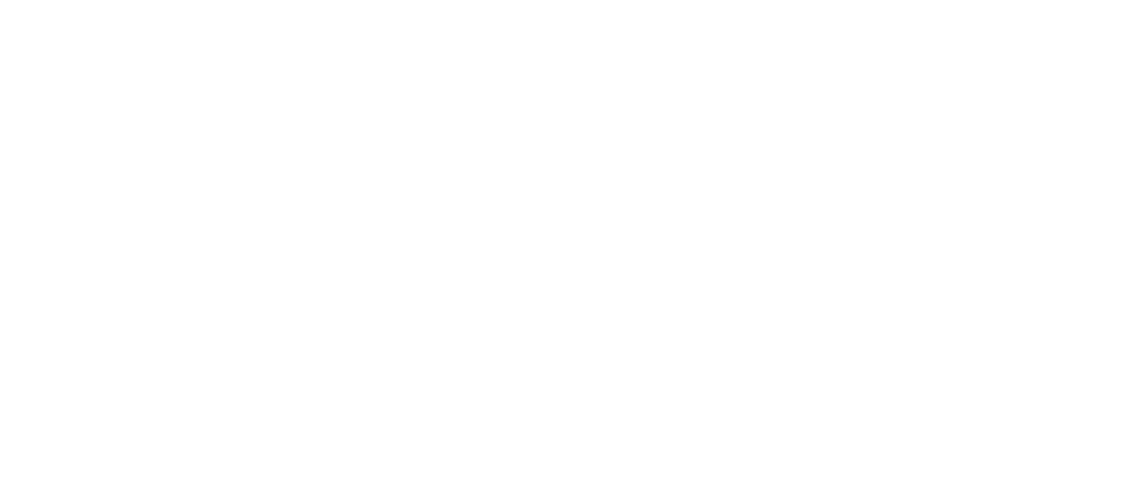 Jamón de Pavo Tipo Americano