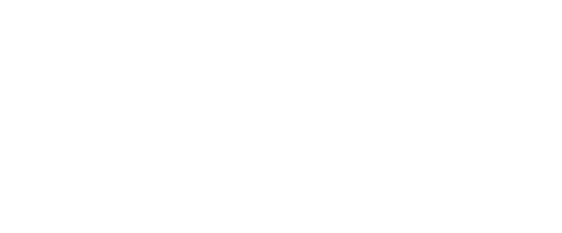 Jamón de Pierna de Cerdo Tradicional
